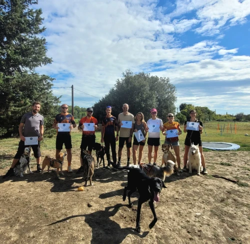 Brevet d'Animateur Fédéral sport mono-chien : félicitations à Gladys !