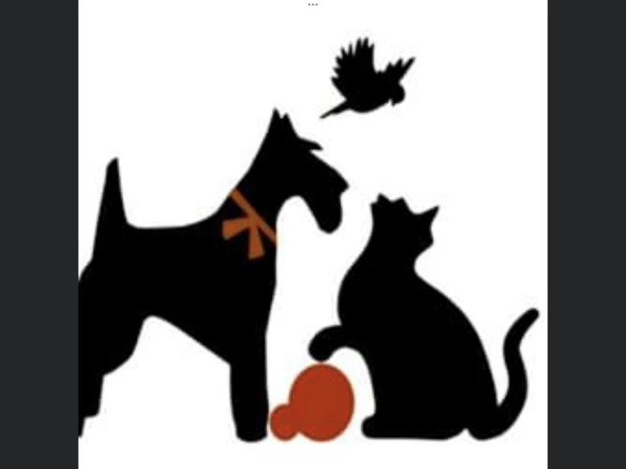 Apprenons les animaux