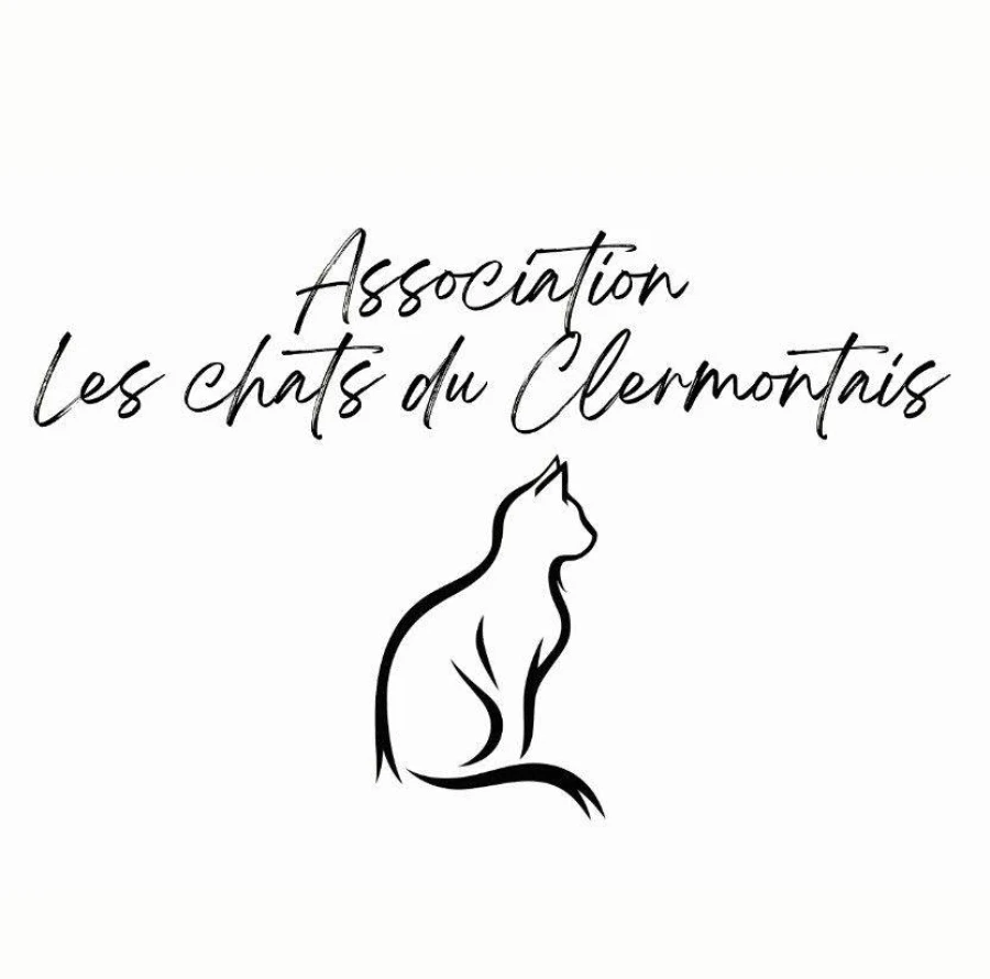 Les chats du Clermontais